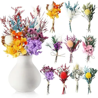 10 Bündel Trockenblumen Klein, Bunt Trockenblumenstrauß DIY Trockenblumen