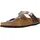 graceful taupe 36