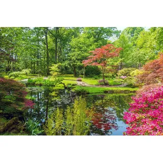 Papermoon Fototapete »GARTEN-BLUMEN BÄUME PFLANZEN STEINE WALD PARK BLÜTEN«, bunt