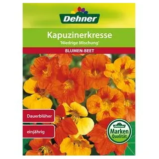 Dehner Samen Kapuzinerkresse 'Niedrige Mischung', Bunt