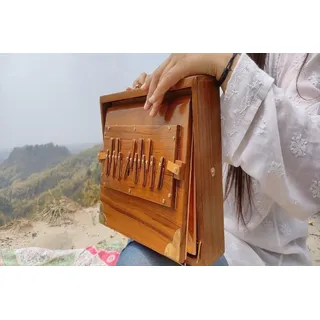 Shruti-Box mit 13 Tönen, gestimmt, 432 Hertz gepolsterte Tragetasche, hergestellt aus Teakholz, 30,5 cm