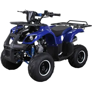 ACTIONBIKES MOTORS S-8 Farmer 125 ccm ATV Not-Aus-Leine, Automatik Alarmanlage, Scheibenbremse (Blau)