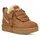 Chestnut 41