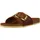 schmal cognac 37