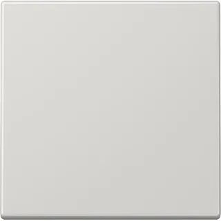 Jung Wippe lgr für Taster LS 990 LG