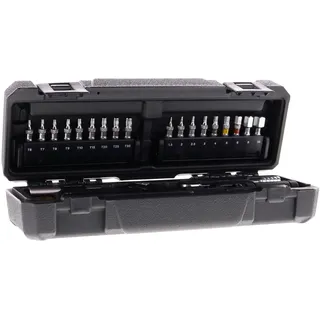 Topeak Torq Stick Pro 4-20 Nm