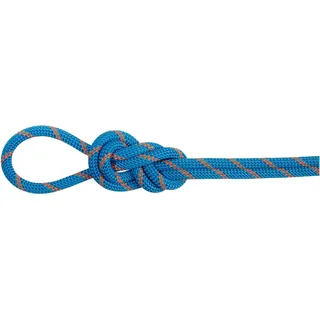 Mammut 8.0 Alpine Dry Halbseil Blau/Weiß
