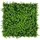52 x 52 cm mixed green buxus
