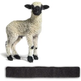 BigDean Zugluftstopper Für Türen 100cm - 100% Schurwolle - Anthrazit - Türluftstopper Luftzugstopper Windstopper - Made In Germany