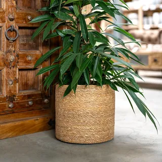 DARO DEKO Seegras Korb rund Natur Ø 35 x 33 mit Einsatz Blumentopf geflochten Aufbewahrungskorb Über-Topf Blumenkorb