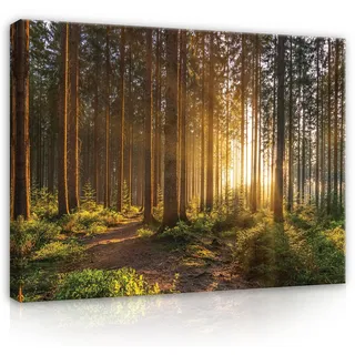 WallArena - Leinwand Bilder - Wald Grün Natur Landschaft - 120x80 cm Leinwandbilder - Bild auf leinwand - Wandbild XXL groß Wandbilder für Wohnzimmer Schlafzimmer Wohnzimmerbilder Modern