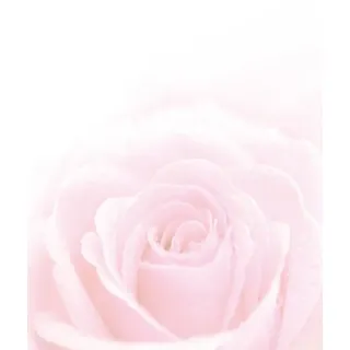 100 Blatt DIN A4 Motivpapier-215  Blumen-Motiv Rose Rosa Design-Papier