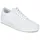 True White 35