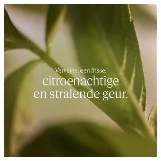 L'Occitane Flüssigseife 500 ml