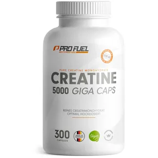 ProFuel Creatine Kapseln 240 St.
