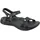 black 36