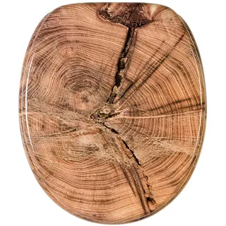 Sanilo Old Tree braun