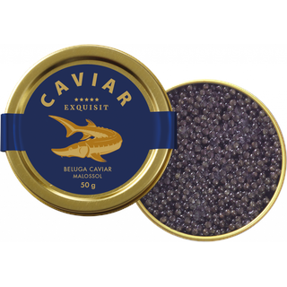 Exquisit BELUGA Stör CAVIAR Premium Linie Malossol, 50g