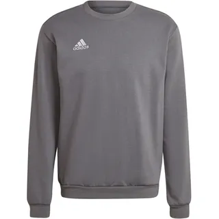 Adidas Entrada 22 Sweatshirt