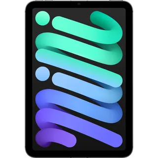 512 GB Wi-Fi + Cellular Space Grau