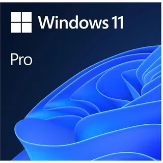 Microsoft Windows 11 Pro DVD IT
