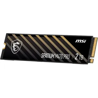 MSI Spatium M470 Pro 2 TB M.2