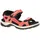 burnt coal/spiced coral 41