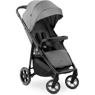 hauck Shop N Care Grau