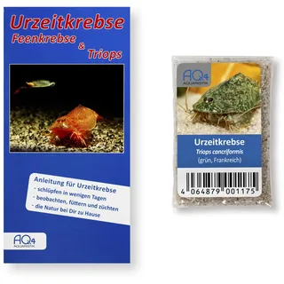 AQ4Aquaristik Triops cancriformis (grün, Frankreich) - ca. 100 Urzeitkrebse Eier - mit Anleitung