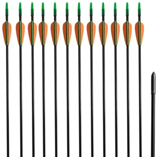 vidaXL "vidaXL Recurvebogen-Pfeile 30\" cm Fiberglas 12 Stk."