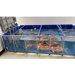 Faltbarer Fischteich mit klarem Sichtfeld, Aquarium für Außen/Innen, oberirdischer Goldfischteich mit Rahmen und Ablassventil