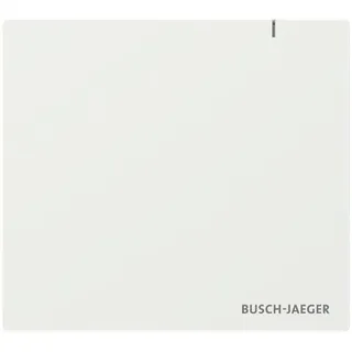 Busch-Jaeger System Access Point SAP.13