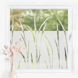 Bilderwelten Fensterfolie Sichtschutz Schilf Gräser 100 x 120 cm Milchglasfolie Sichtschutzfolie Fenster Folie Blickdicht Anti-UV Statisch Haftend Querformat