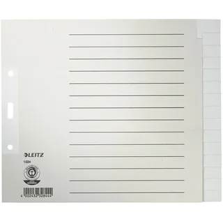 Leitz Register DIN A4 15teilig Papier grau