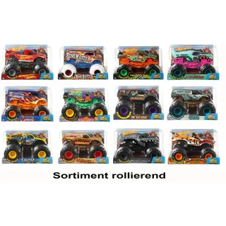 Hot Wheels Monster Trucks 1:24 Die-Cast Sortiment