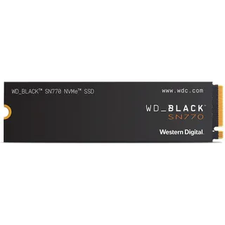 1 TB M.2 WDS100T3X0E
