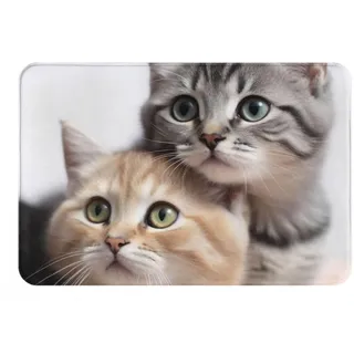 Bedruckter Teppich mit Katzen-Motiv, superweicher Flanell-Badteppich, rutschfeste Badematte, waschbar, Überwurf, Dekoration, Bodenmatte, Teppich für Wohnzimmer, Sofa, Schlafzimmer
