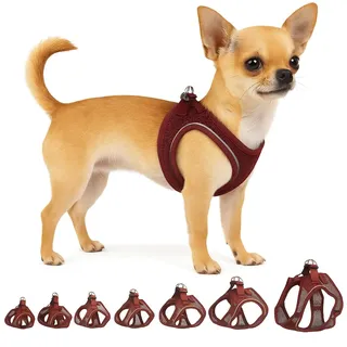 Karlie Hundegeschirr - hundegeschirr kleine Hunde - XXS - Flamingo Harness Step&Go Bento Aubergine
