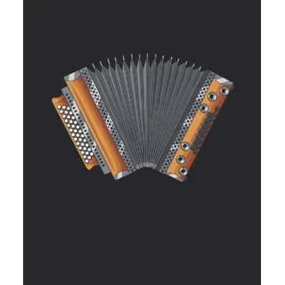 Steirische Harmonika Quetschn Ziachorgel: Steirische Harmonika Notizbuch | DIN A5 | Liniert | 120 Seiten