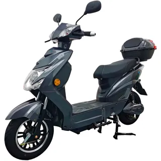 urban hopper Enjoy Elektroroller 45 km/h grau