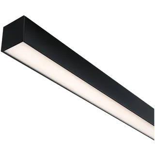 Paulmann Linion 150 cm 25,5W Kunststoff schwarz