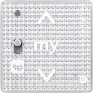 SOMFY Smoove RS100 io Silver Shine Touch-wandsteuerung