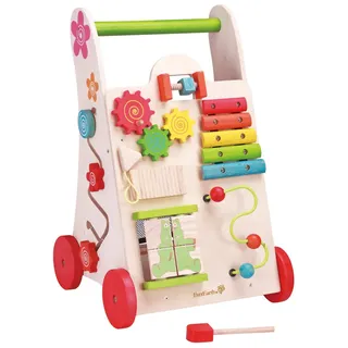 EverEarth Activity Walker