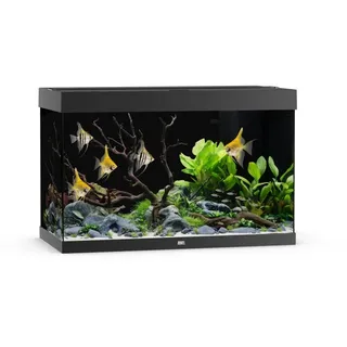 juwel® aquarium JUWEL® Rio 290 LED, schwarz Aquarium