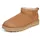 Chestnut 41