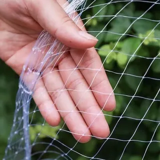 Vogelschutznetz Engmaschig Vogelnetz Vogelnetze Vogelschutznetz Katzennetz Für B