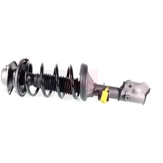 gh Federbein Komplett Federbein