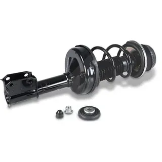 gh Federbein Komplett Federbein