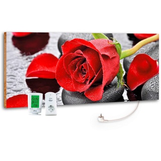 Red Roses 800 W