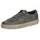 gray 40,5